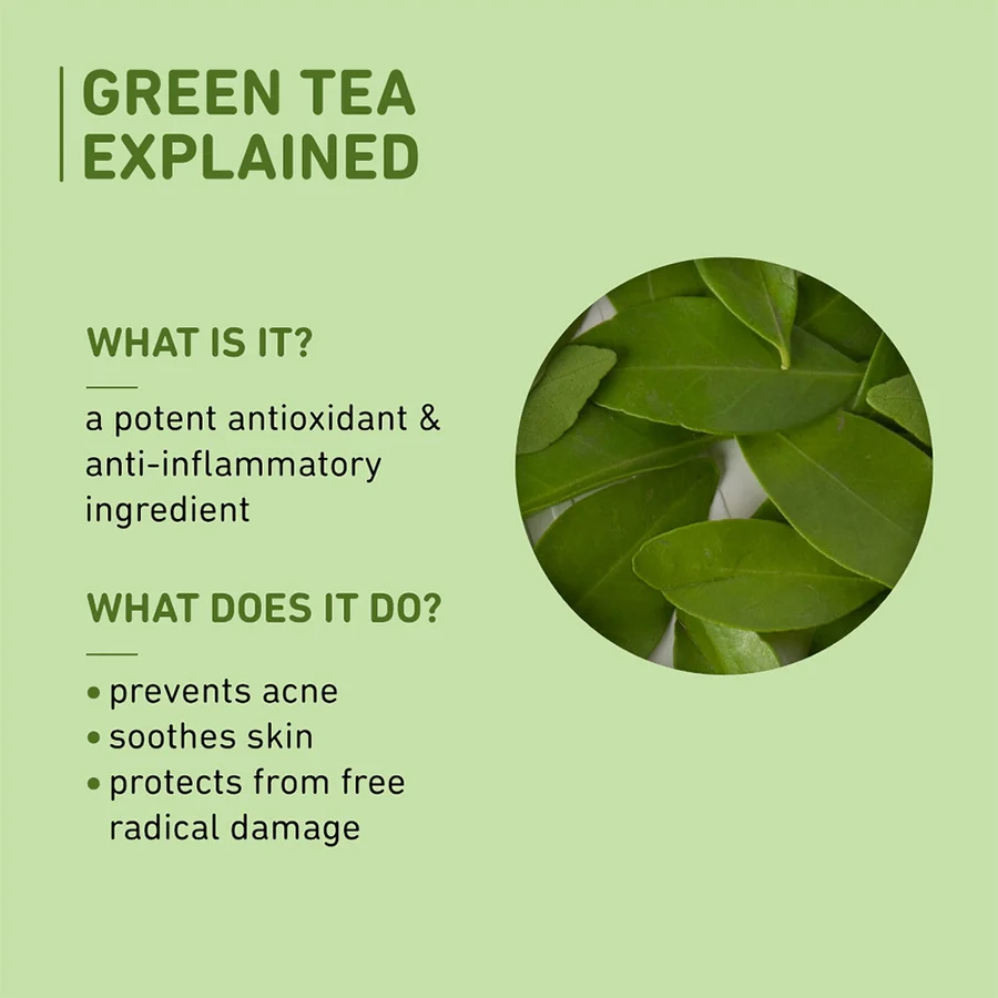 Green Tea Mattifying Moisturizer for Oily Skin