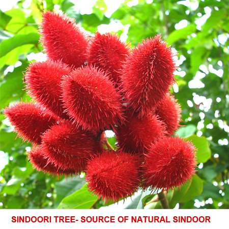 Kolar Herbs Natural Sindoor (Kumkum)
